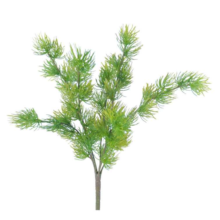 Primrue Tassel Grass Arrangement Wayfair